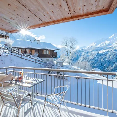 Appartement Wyssbirg *