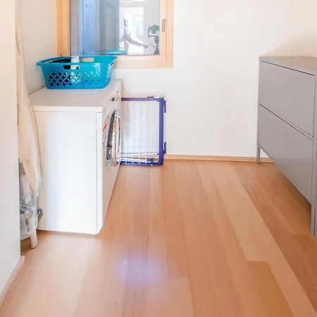 Apartment Wyssbirg *