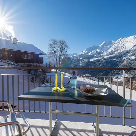 Appartement Wyssbirg *